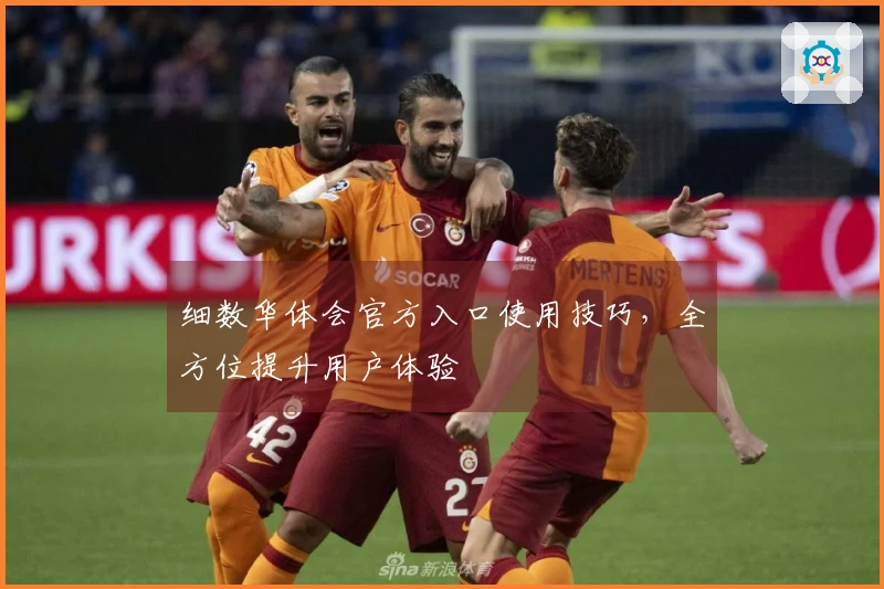 细数华体会官方入口使用技巧，全方位提升用户体验